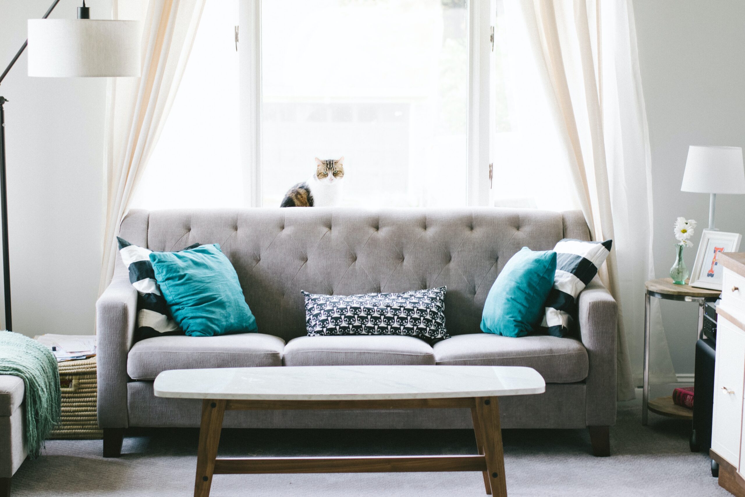 Sofa Cleaning Services in Gurgaon